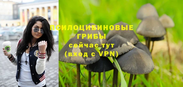 кристаллы Липки