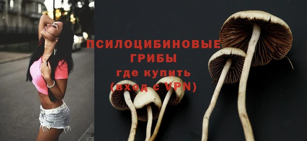 a pvp Майский