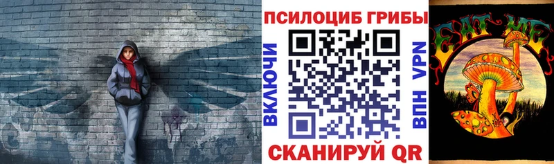 KRAKEN вход  Усолье  Псилоцибиновые грибы Psilocybe 